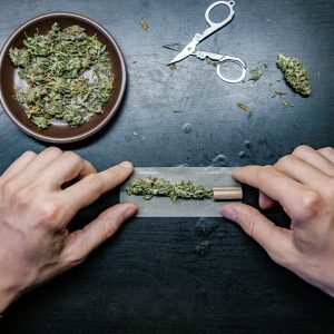 Buy Weed & Herb Grinders in Concord, CA